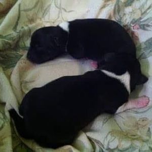 Meet your Posher, Debra